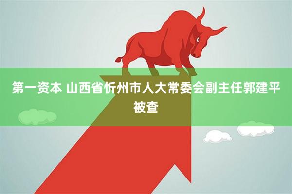 第一资本 山西省忻州市人大常委会副主任郭建平被查