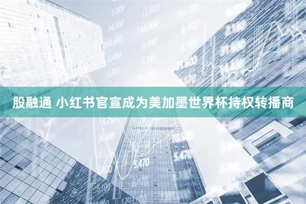 股融通 小红书官宣成为美加墨世界杯持权转播商